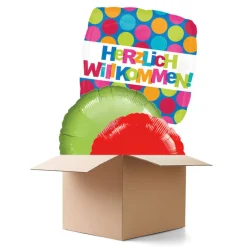 Ballongrüsse HERZLICH WILLKOMMEN, 3 Ballons