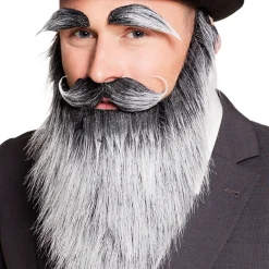 Bart Vollbart Alter Mann, grau