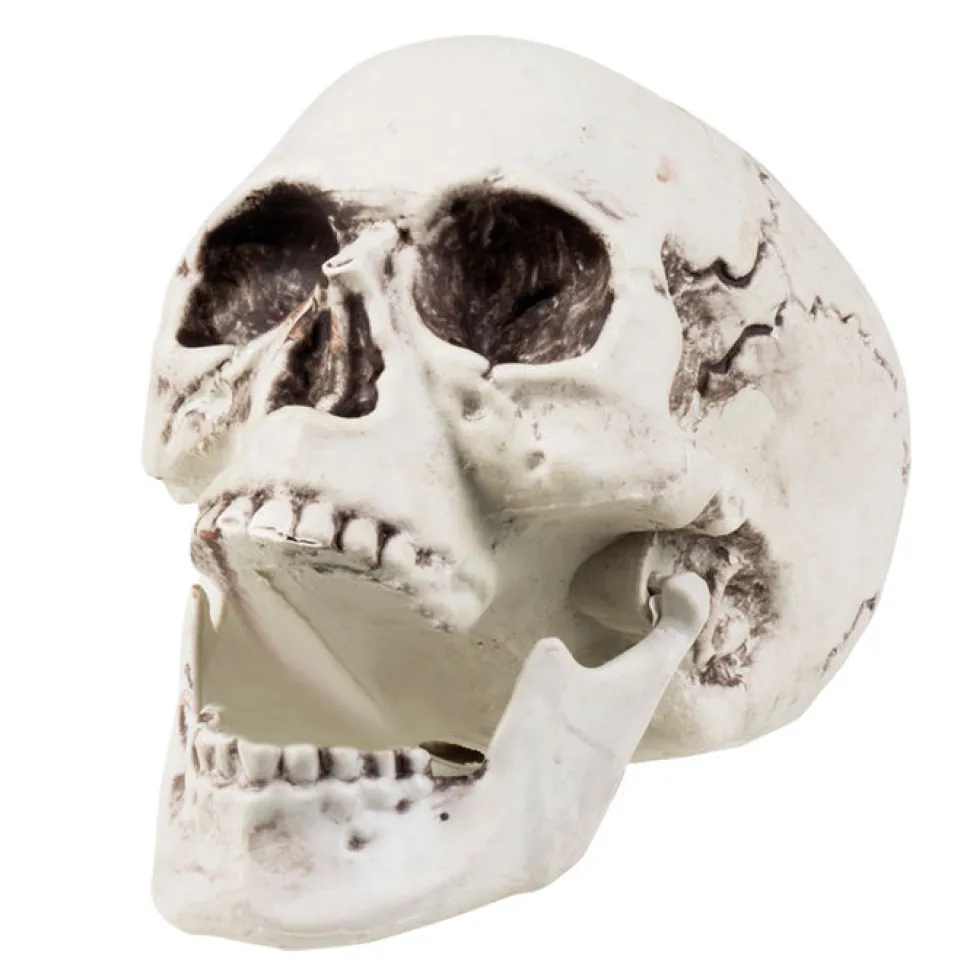 Deko-Figur Totenkopfschädel, 20x15 cm
