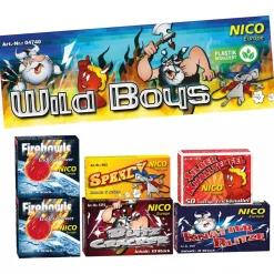 Feuerwerk / Kinder- & Jugendfeuerwerk, Wild Boys, Packung mit 6 Schachteln