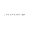 Girlande Just Married, silber, 130 cm