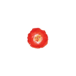 Hawaii-Blume Hibiskus mit Clip, rot