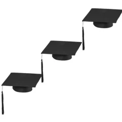 Hut Akademiker / Doktor / Hochschulabsolvent, schwarz, 12 Stück