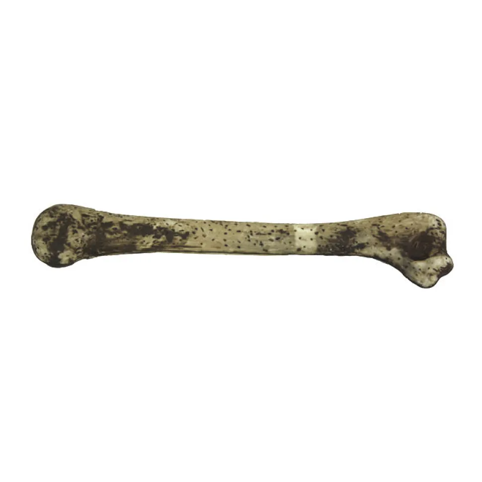 Knochen aus Plastik, natur ca. 27 cm