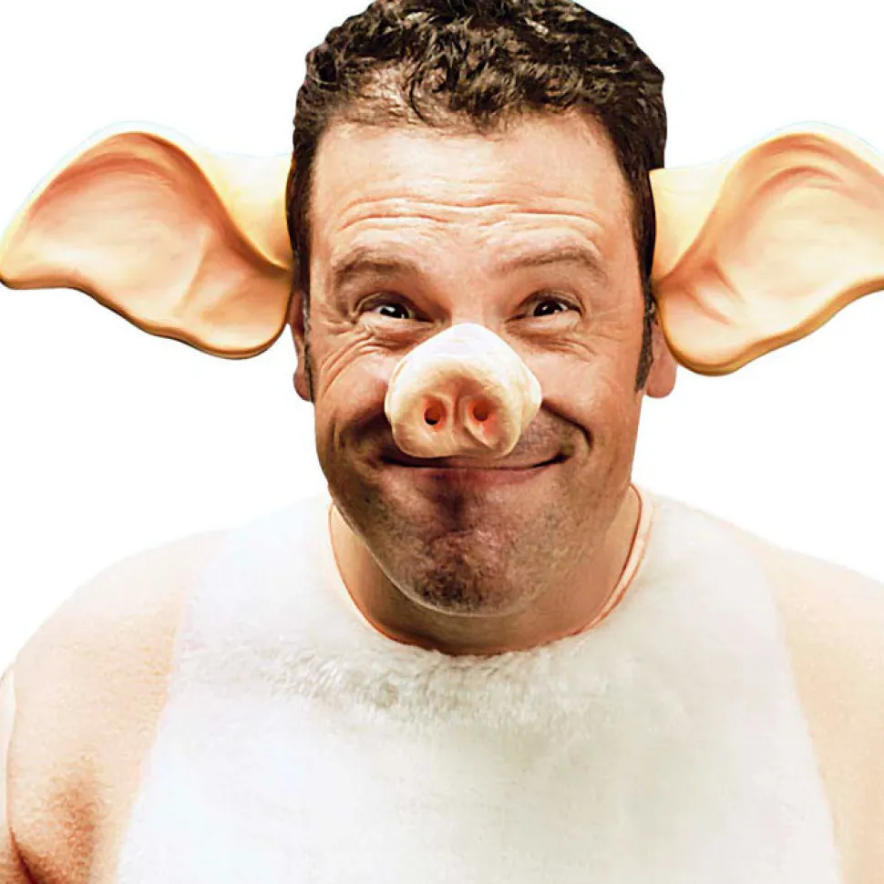 Nase Schwein, rosa