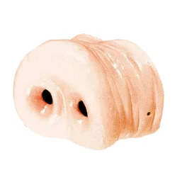 Nase Schwein, rosa
