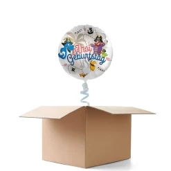 NEU Ballongrüße Pirat Ahoi Geburtstag, 1 Ballon
