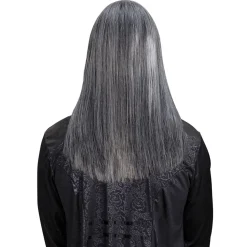 NEU Dream-Hair-Perücke Männer-Langhaar, silbergrau