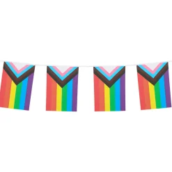NEU Fahnenkette Progress Pride, mit 30x20cm Fähnchen, 6m