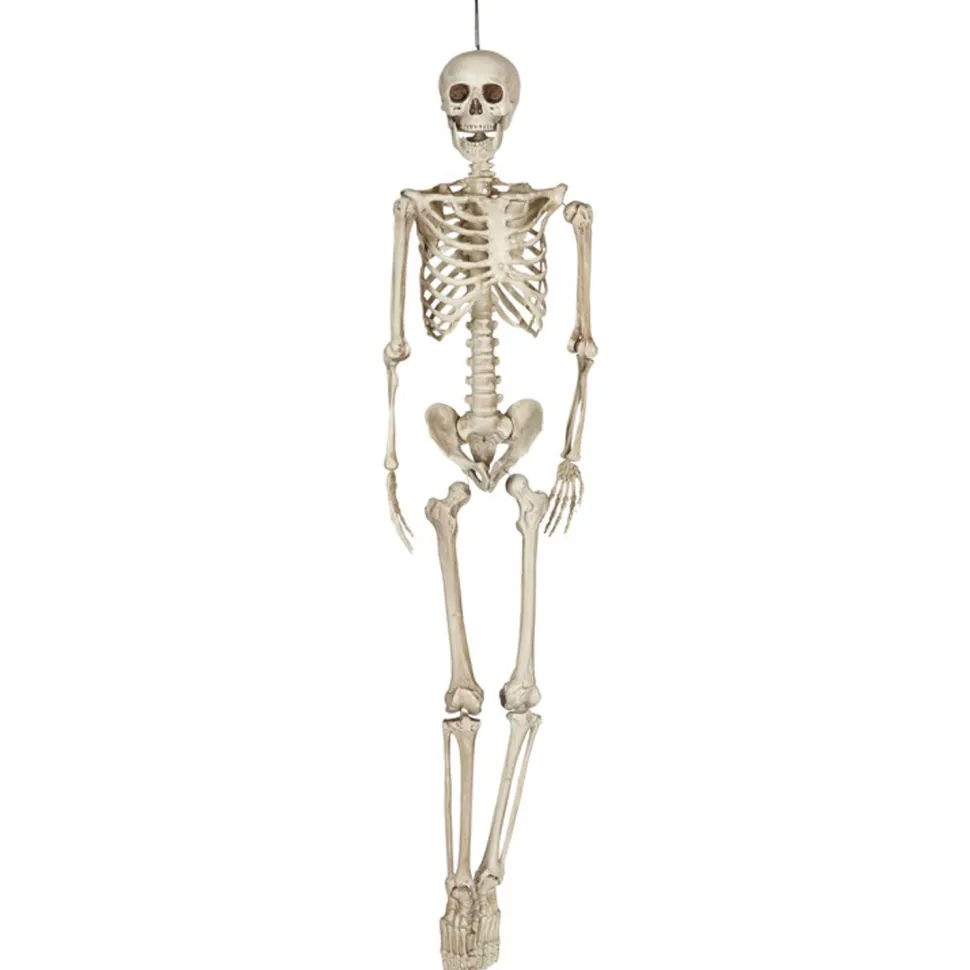 NEU Halloween-Deko-Figur Skelett, ca. 160cm