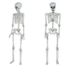 NEU Halloween Deko Skelett, ca.145cm