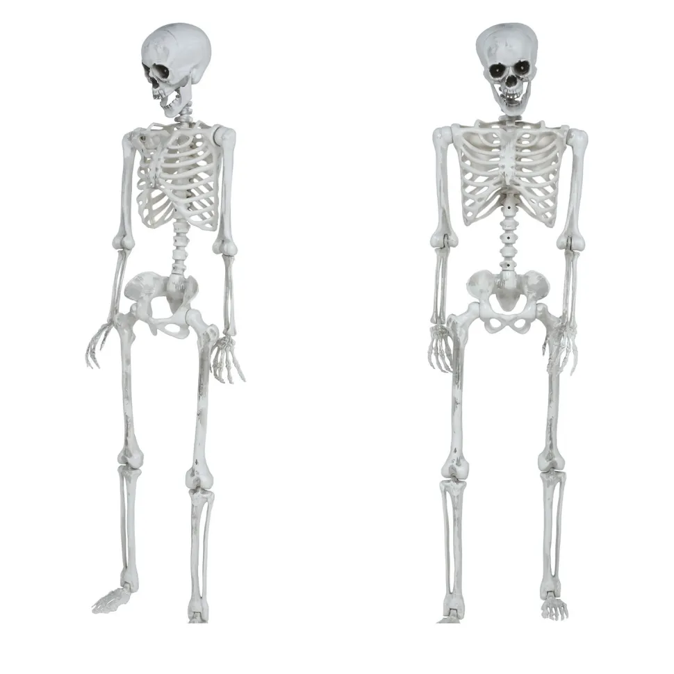NEU Halloween Deko Skelett, ca.145cm