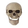 NEU Halloween-Deko Totenschädel aus PVC, ca. 20cm
