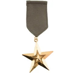 NEU Medaille Abzeichen Orden Marine / Militär Stern, ca. 6x12cm