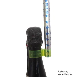 NEU Party-Fontäne mit Sektflaschenhalter