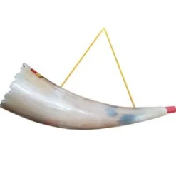 NEU Reality-Horn / Trompete / Tröte in Hornoptik, ca. 22 cm