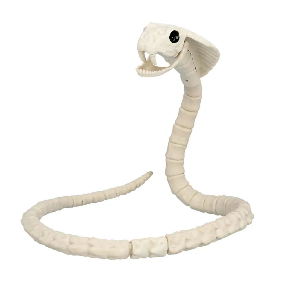 NEU Schlangenskelett, 102 x 10cm