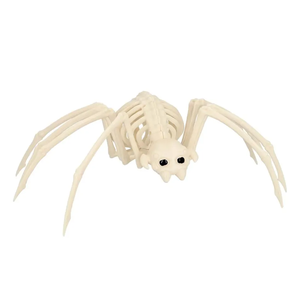 NEU Skelett Spinne, 37x21x11cm