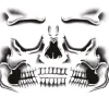 NEU Temporäres Tattoo Halloween Skelett, 30x14cm