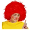 Perücke Kinder Junge Mädchen Clown Strubbelkopf, rot