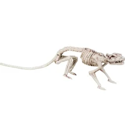 Ratten- Skelett, 35 cm, stehend