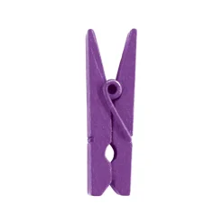 SALE Mini-Wäscheklammern violett, 3,5 cm, 12 Stk