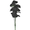 SALE Rosenstrauß, schwarz