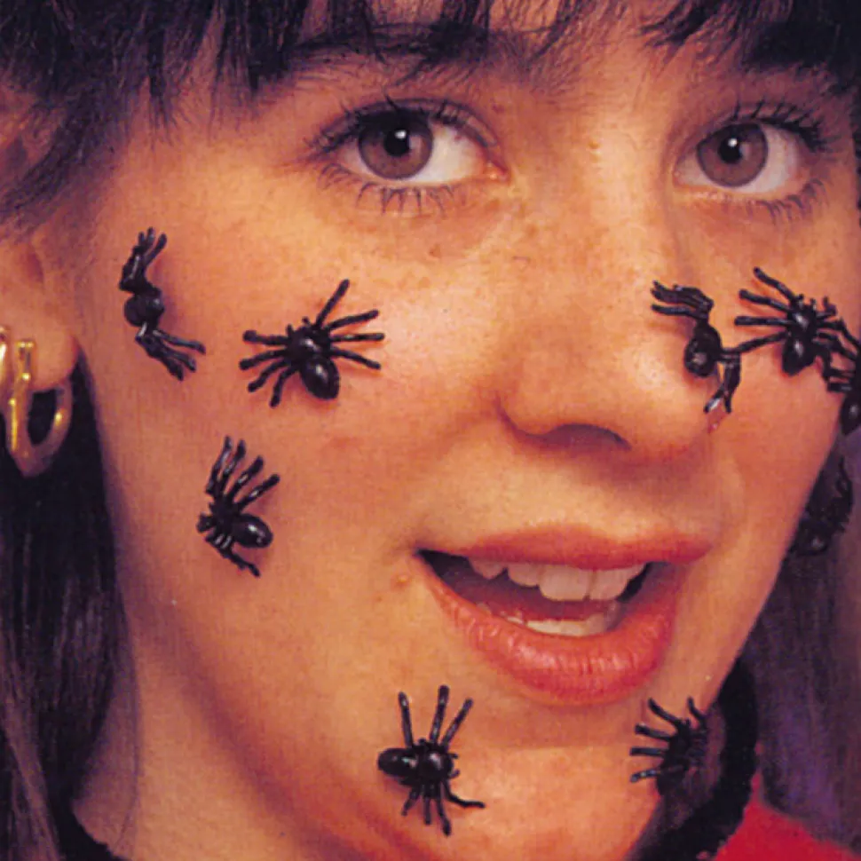 SALE Spinnen, 40 Stück