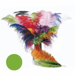SALE Straußenfeder, 50-60cm, grün