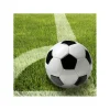 Servietten Soccerball 33x33 cm 20 Stk.