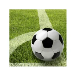 Servietten Soccerball 33x33 cm 20 Stk.