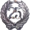 Wand-Deko Jubiläumszahl 25, silber